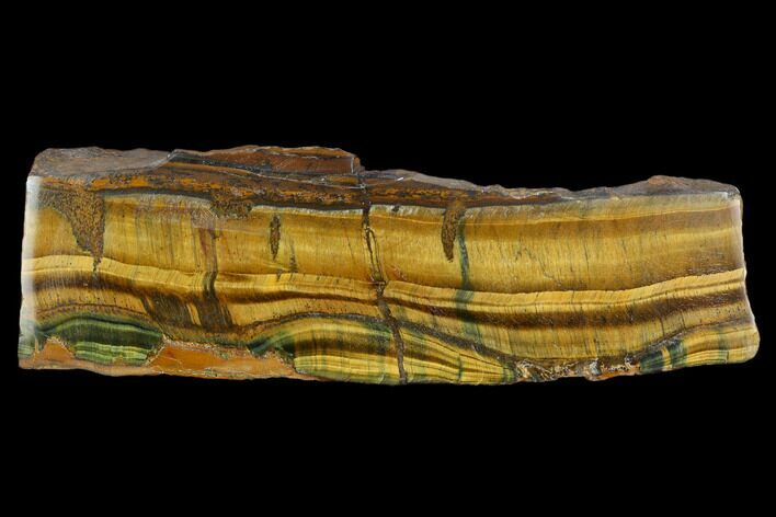 Polished Tiger's Eye Section - South Africa #128488